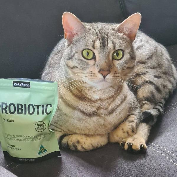 Natural Probiotic for Cats - 60 Scoops - Cat Supplements - Purr Wish