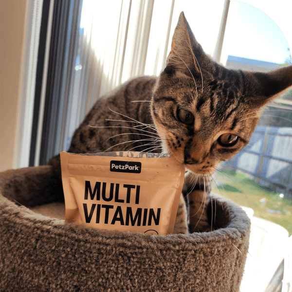 Comprehensive Multivitamin for Cats - 60 Scoops - Cat Supplements - Purr Wish