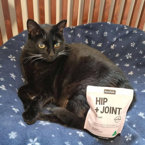 Hip + Joint Supplement for Cats - 60 Scoops - Cat Supplements - Purr Wish