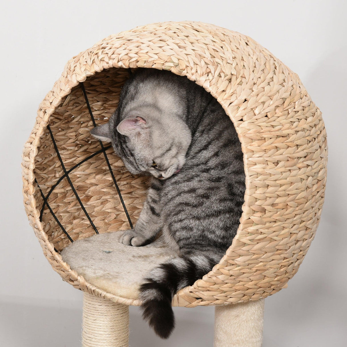 Cat Tower with Perch and Teasing Rope Toy, 100cm - Beige - Cat Trees - Purr Wish