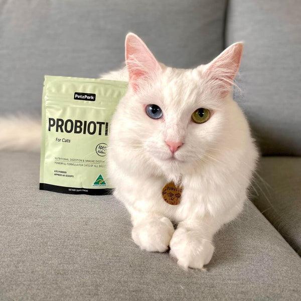 Natural Probiotic for Cats - 60 Scoops - Cat Supplements - Purr Wish