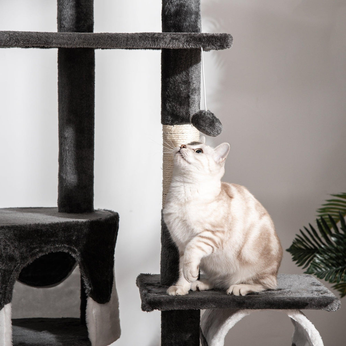 Adjustable Cat Tree Fun House, Black & White - Cat Trees - Purr Wish