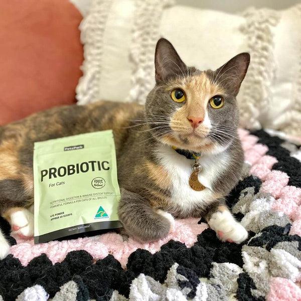 Natural Probiotic for Cats - 60 Scoops - Cat Supplements - Purr Wish