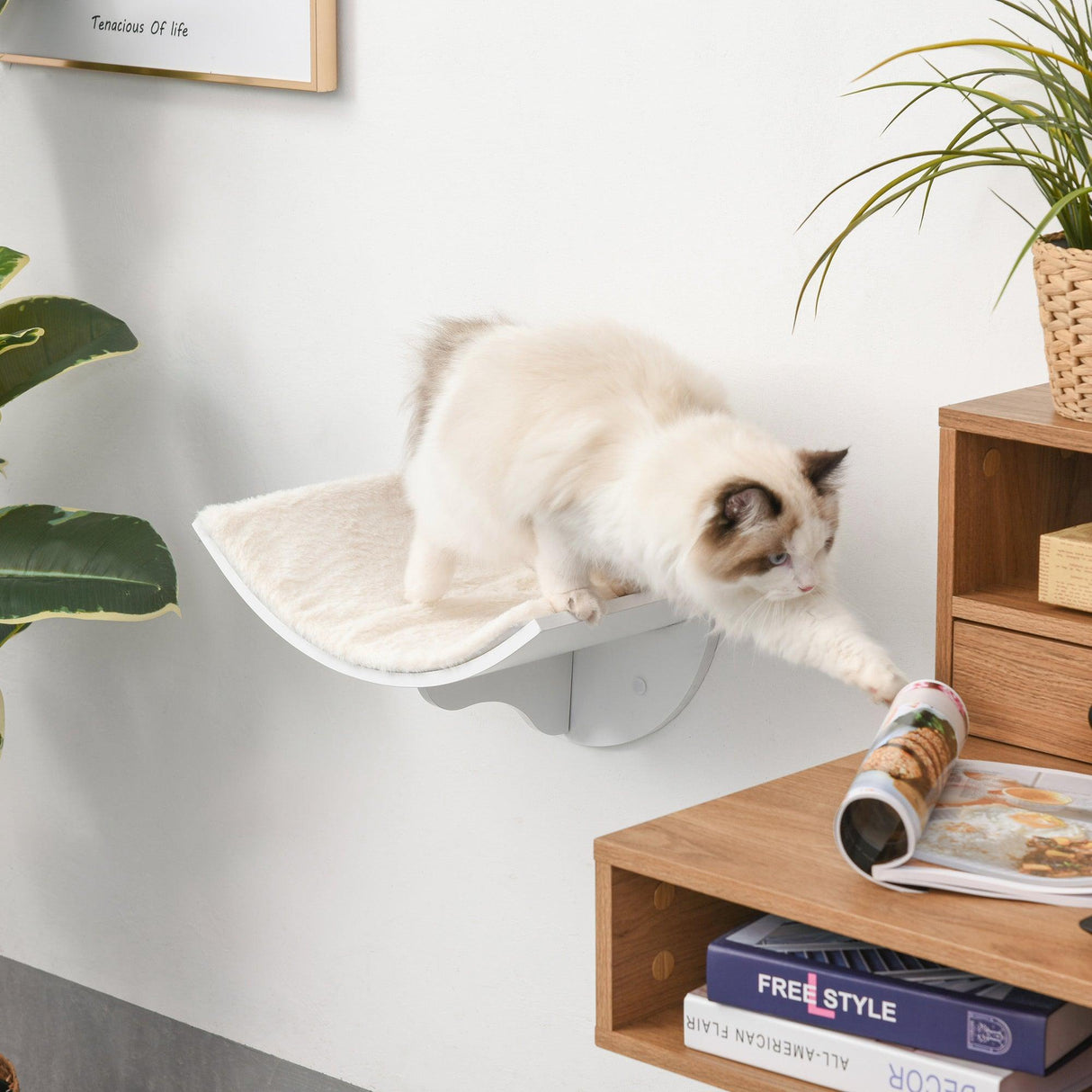 Wall-Mounted Curved Cat Perch Grey - Cat Walls - Purr Wish