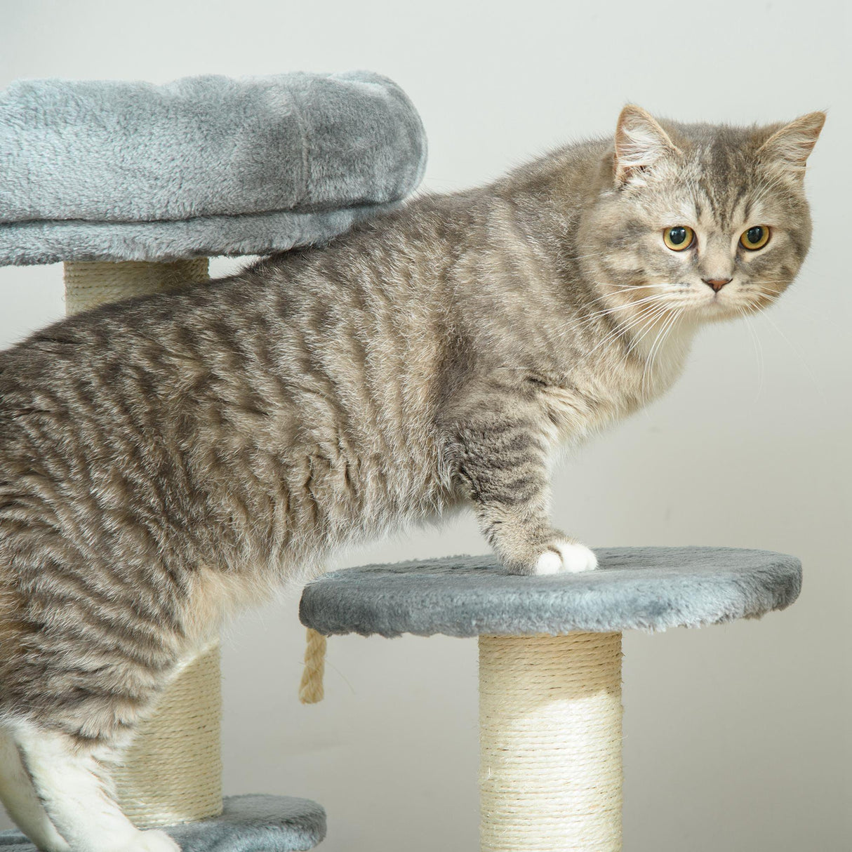 Cat Scratching Post and Playhouse, 65cm - Grey - Cat Trees - Purr Wish