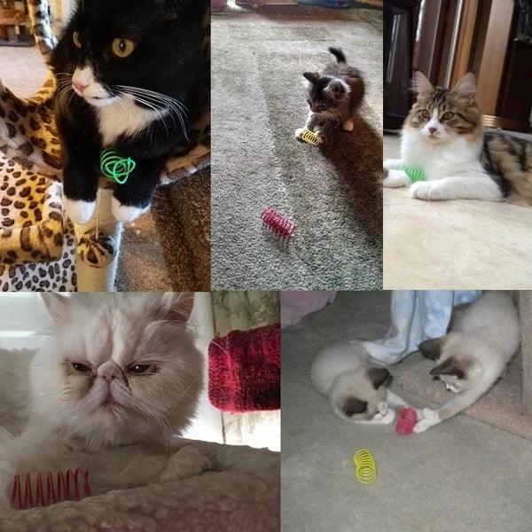 Coil Spiral Springs Cat Toys: Real Fun Times - Springs & Straws Cat Toys - Purr Wish