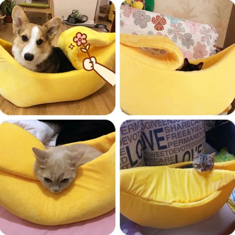 Funny Banana Cat Bed - Cute & Cosy for Cat Naps - Cat Beds - Purr Wish