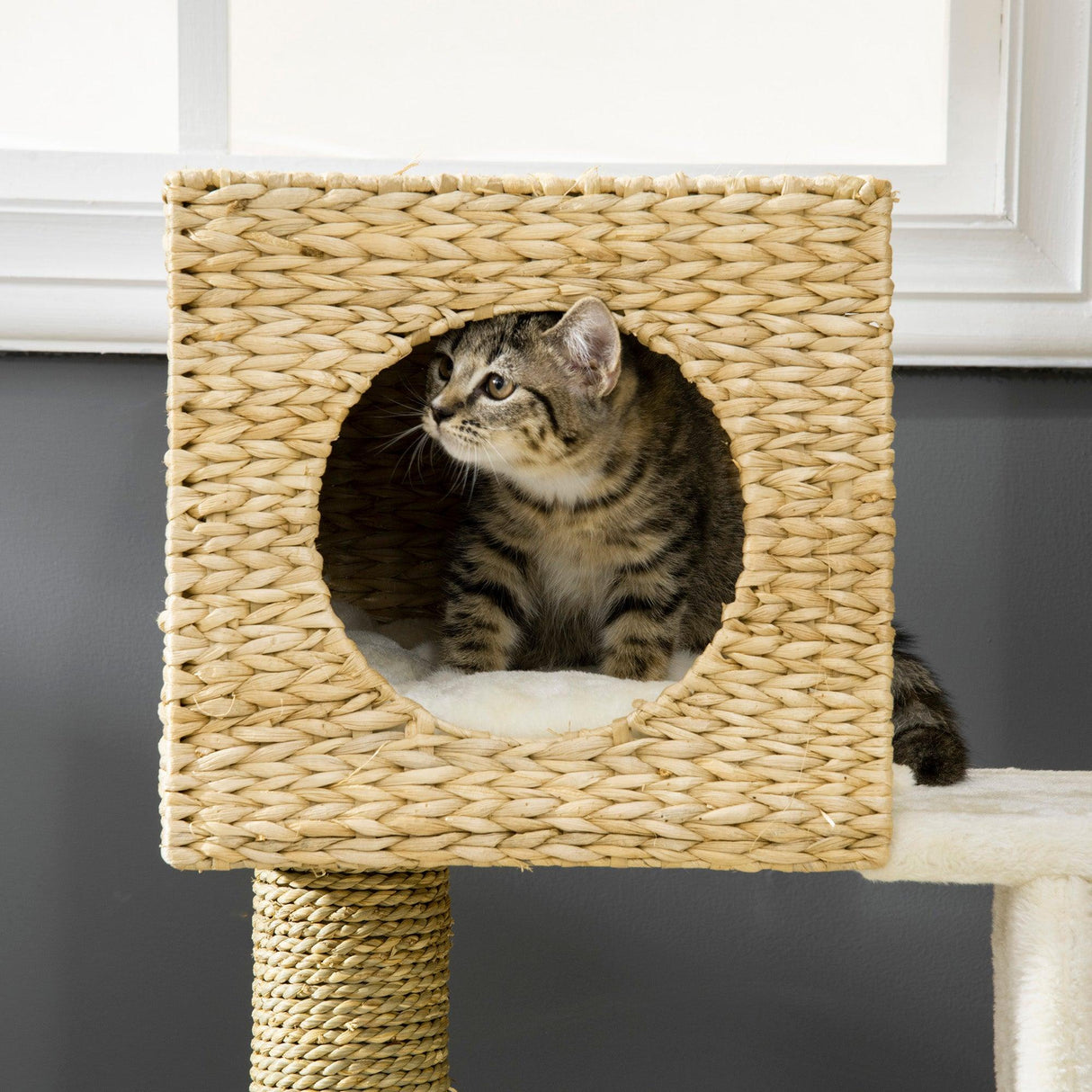 Cat Tower with Scratching Posts, Cat House, 100.5cm - Natural - Cat Trees - Purr Wish