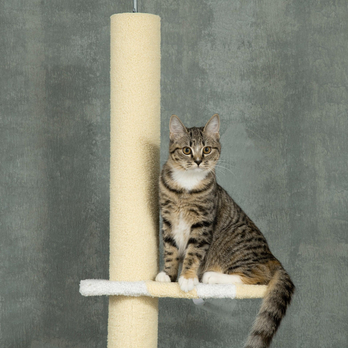 Yellow Cat Tower with Adjustable Height - Cat Trees - Purr Wish