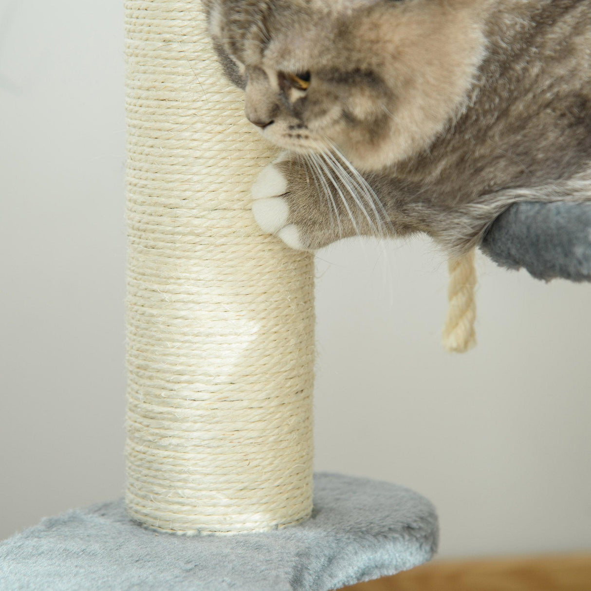 Cat Scratching Post and Playhouse, 65cm - Grey - Cat Trees - Purr Wish