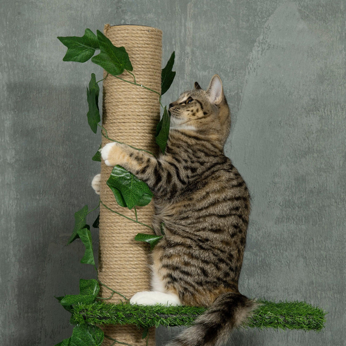Adjustable Floor-to-Ceiling Cat Tower, Green - Cat Trees - Purr Wish