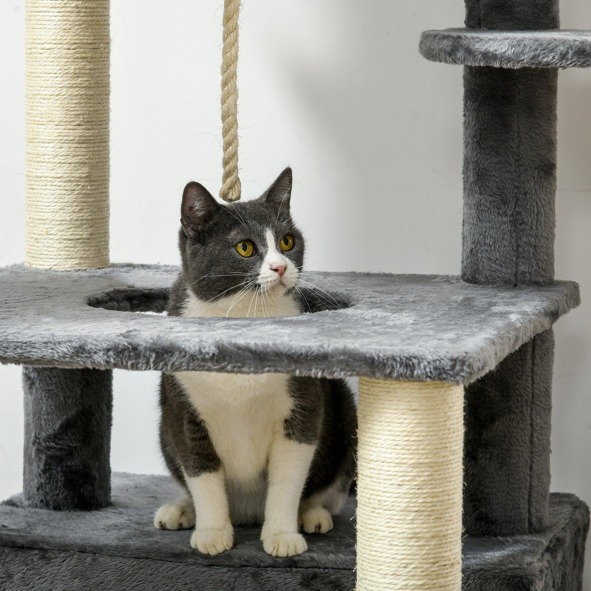 Multi-level Cat Tree w/ Scratching Posts, Bed, Condo, 184cm - Grey - Cat Trees - Purr Wish