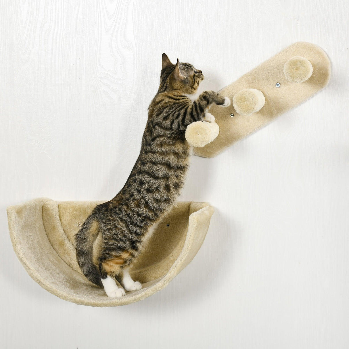 4-Piece Wall-mounted Cat Climbing Shelves Set, Beige - Cat Walls - Purr Wish