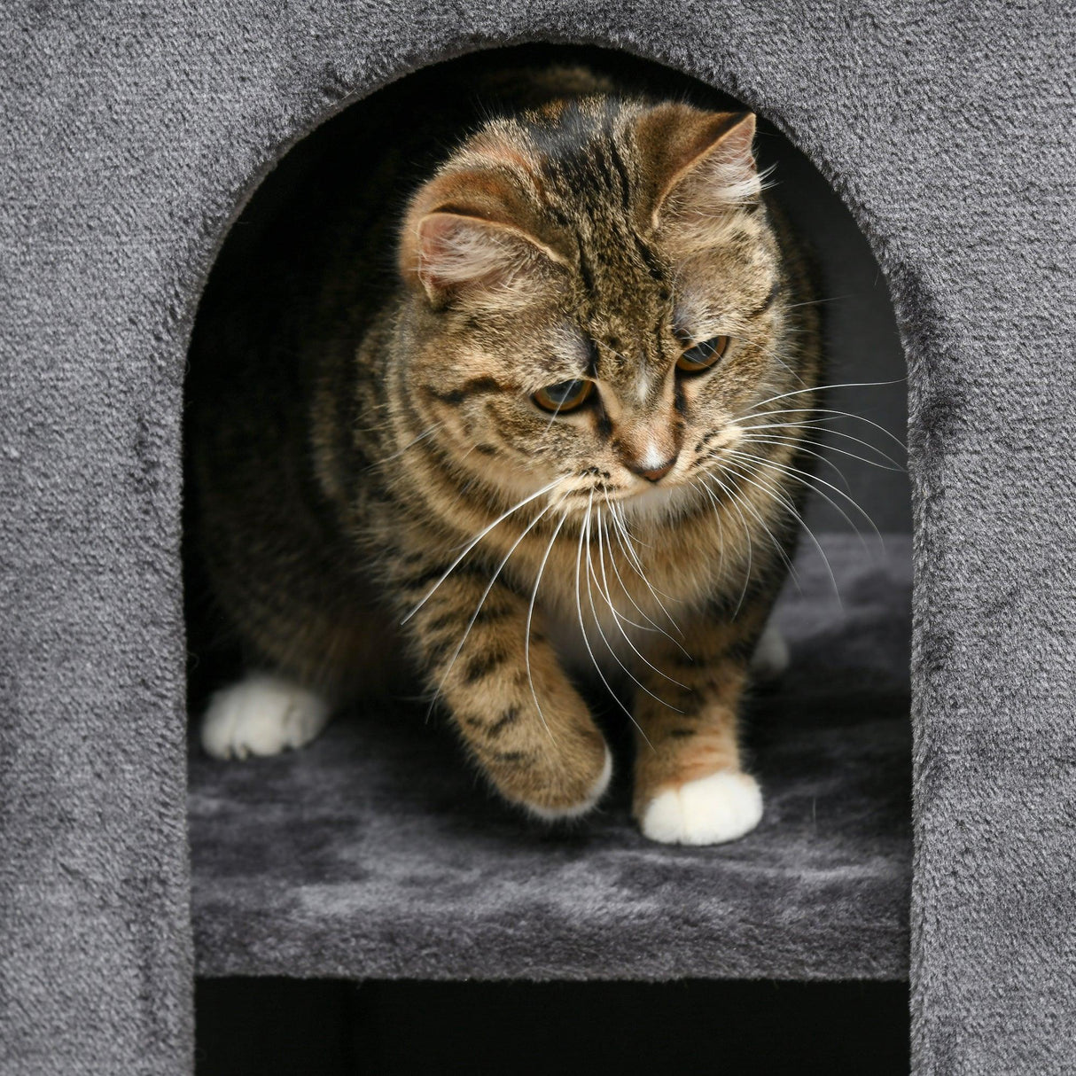 Cat Scratching Barrel w/ Condos - Dark Grey - Cat Trees - Purr Wish