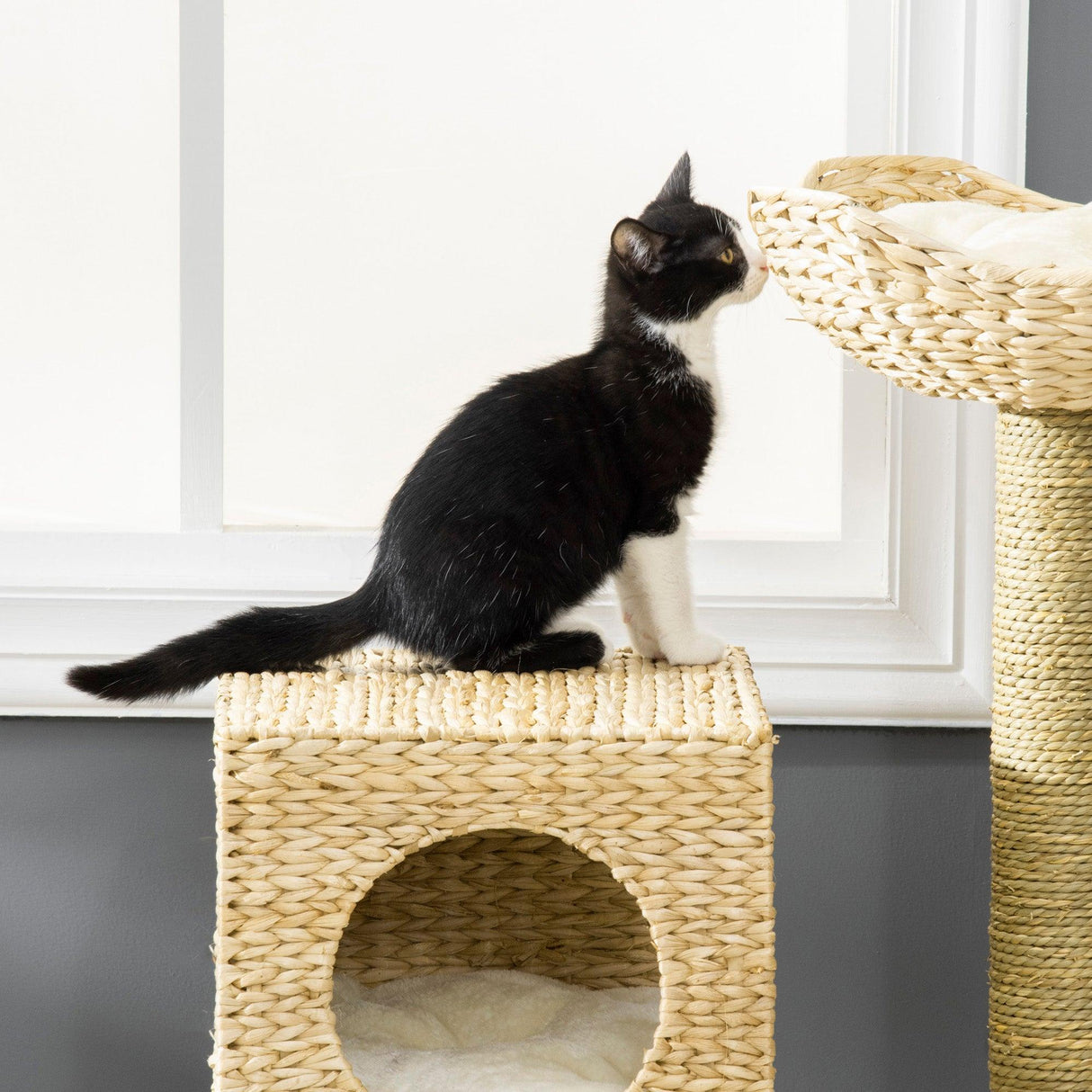 Cat Tower with Scratching Posts, Cat House, 100.5cm - Natural - Cat Trees - Purr Wish