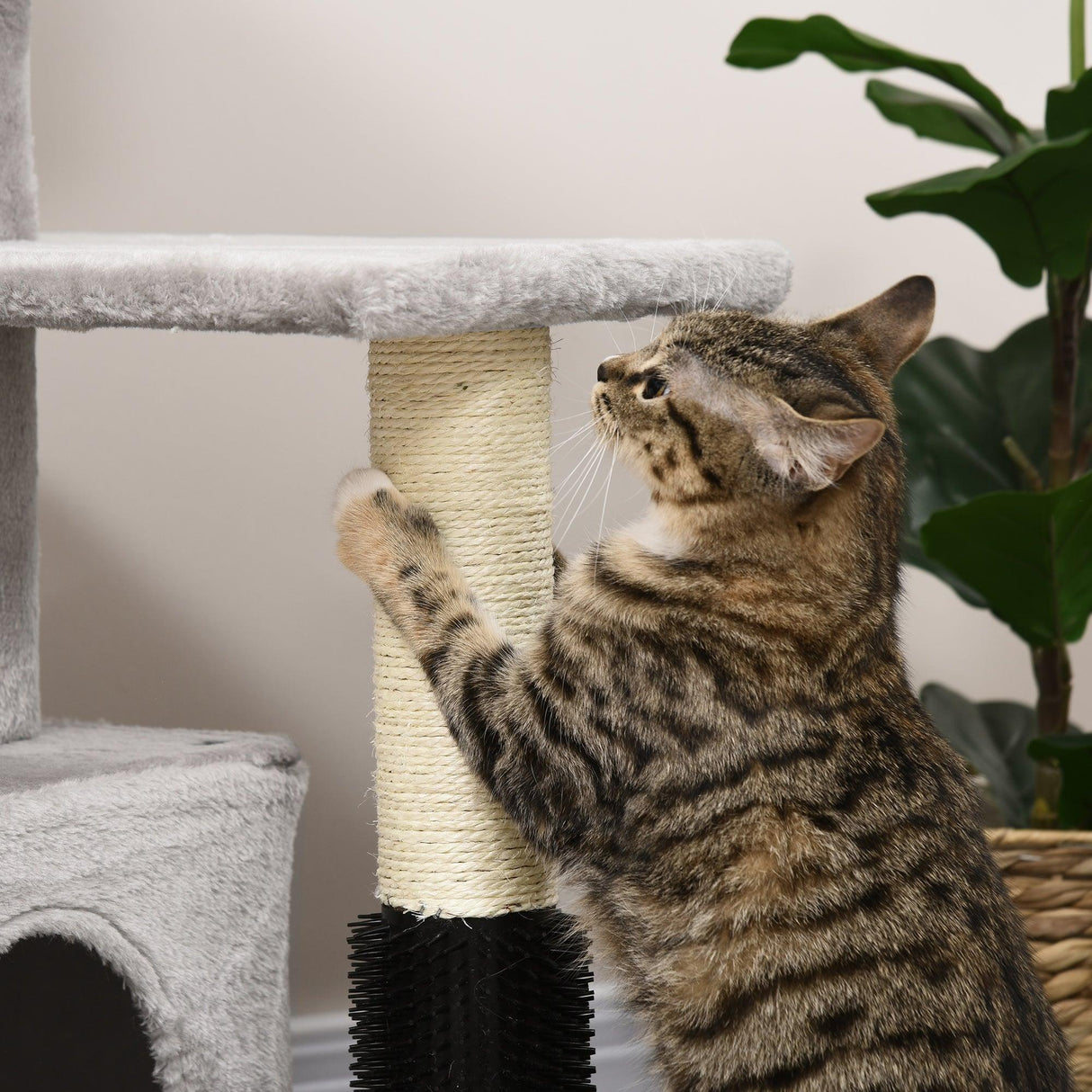 Cat Tree Climbing Activity Center w/ Scratchers, 85cm - Grey - Cat Trees - Purr Wish