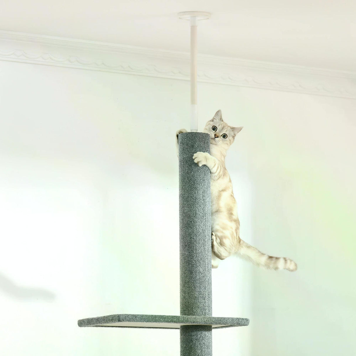 Floor-to-Ceiling Cat Tree with 3 Perches, 228-260cm - Grey - Cat Trees - Purr Wish