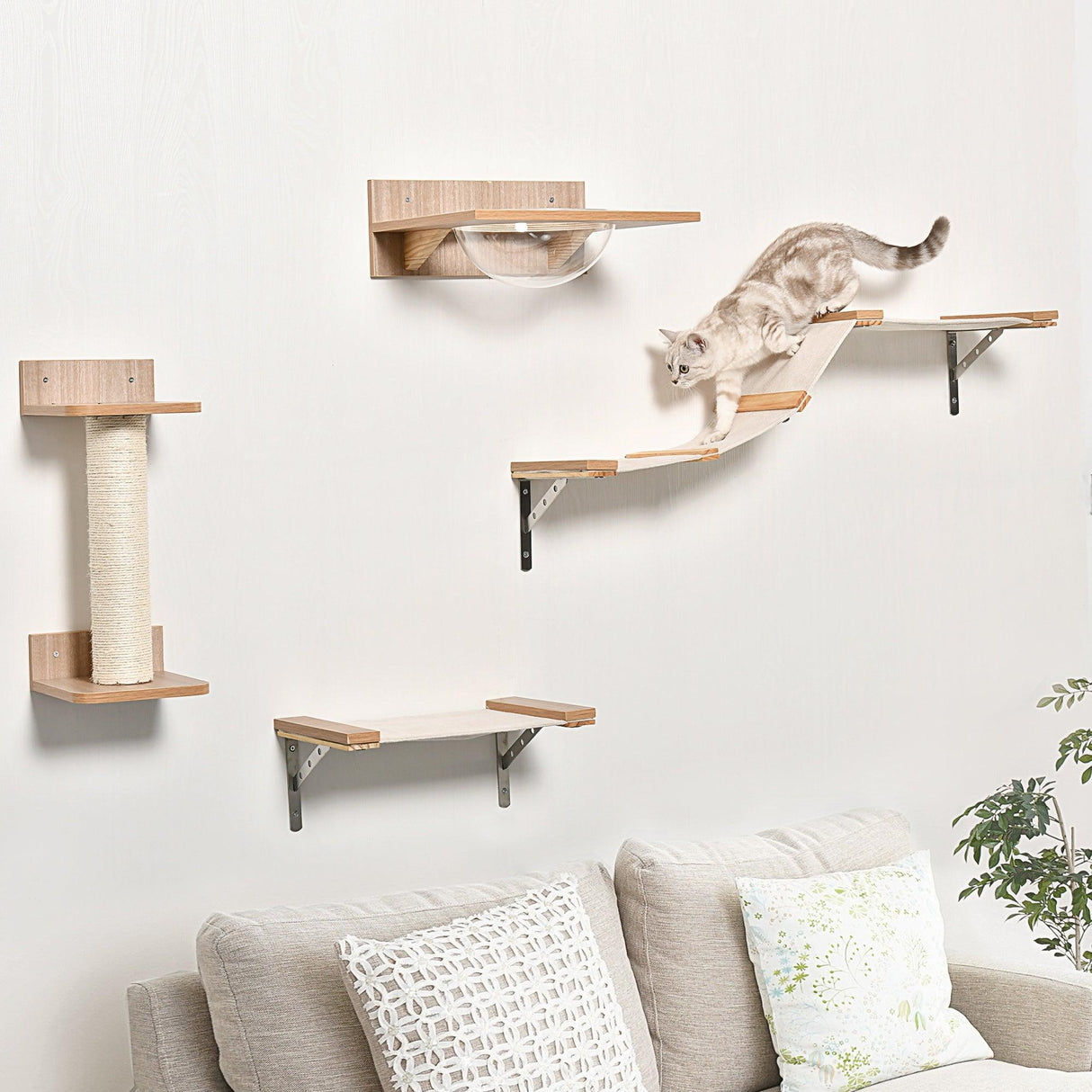 4-Piece Brown Wall-Mounted Cats Climbing Shelf Set - Cat Walls - Purr Wish