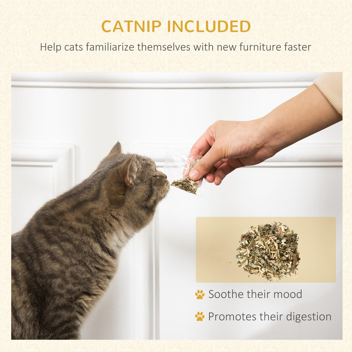 Cat Scratcher with Catnip, Toy Ball, 39Hcm - Sand Brown - Cat Scratchers - Purr Wish