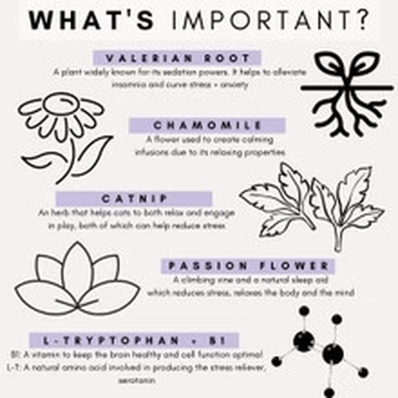 Stress & Anxiety Relief for Cats - 60 Scoops - Cat Supplements - Purr Wish