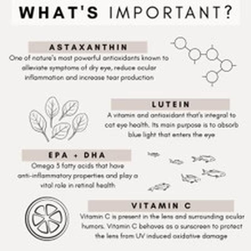 Eye Vision Support for Cats - 60 Scoops - Cat Supplements - Purr Wish