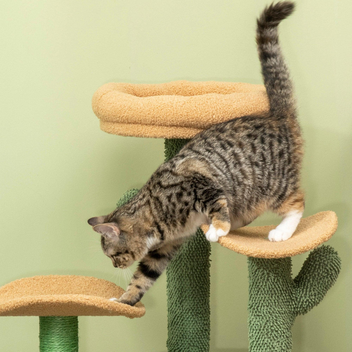 Cactus Cat Tree Activity Centre, 83cm - Green - Cat Trees - Purr Wish