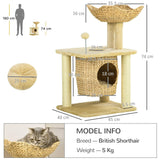 Weaved Cat Tree w/ Scratching Posts, Bed, Toy Ball, 74cm - Beige - Cat Trees - Purr Wish