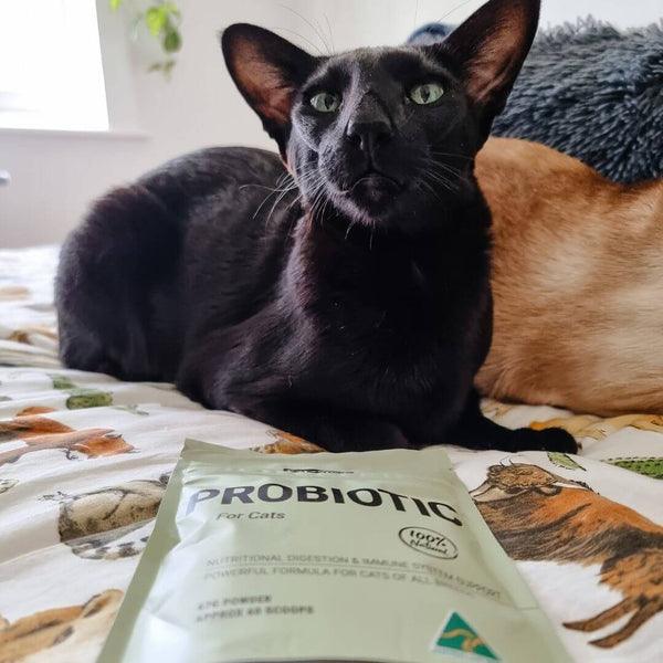 Natural Probiotic for Cats - 60 Scoops - Cat Supplements - Purr Wish