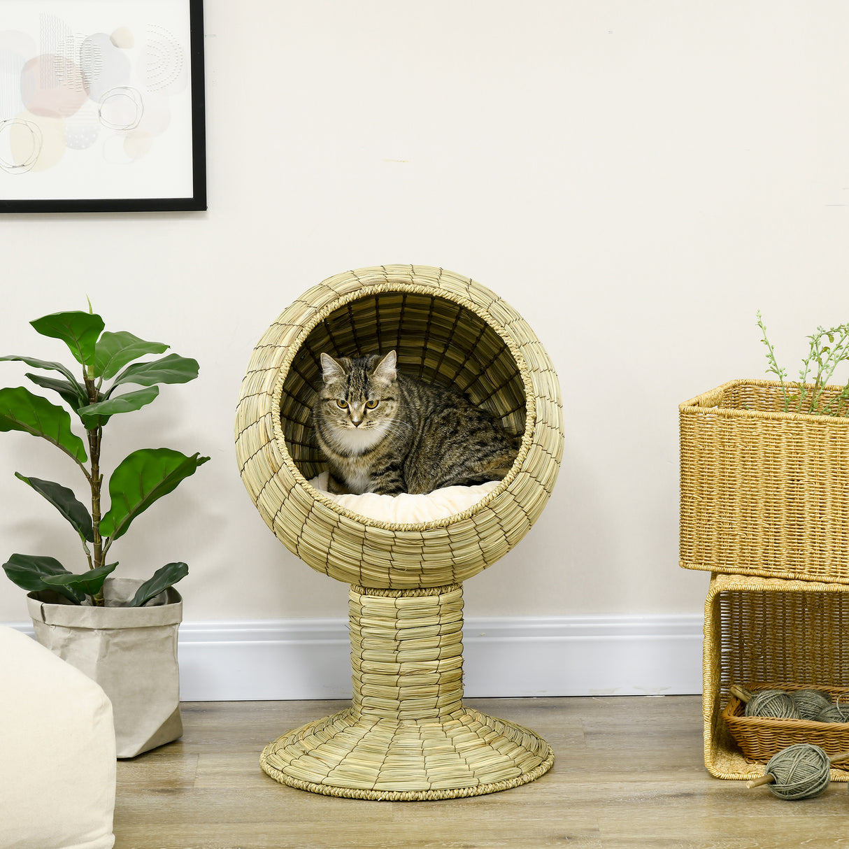 Wooden Cat Treadmill with Carpeted Runway, Natural Wood Finish