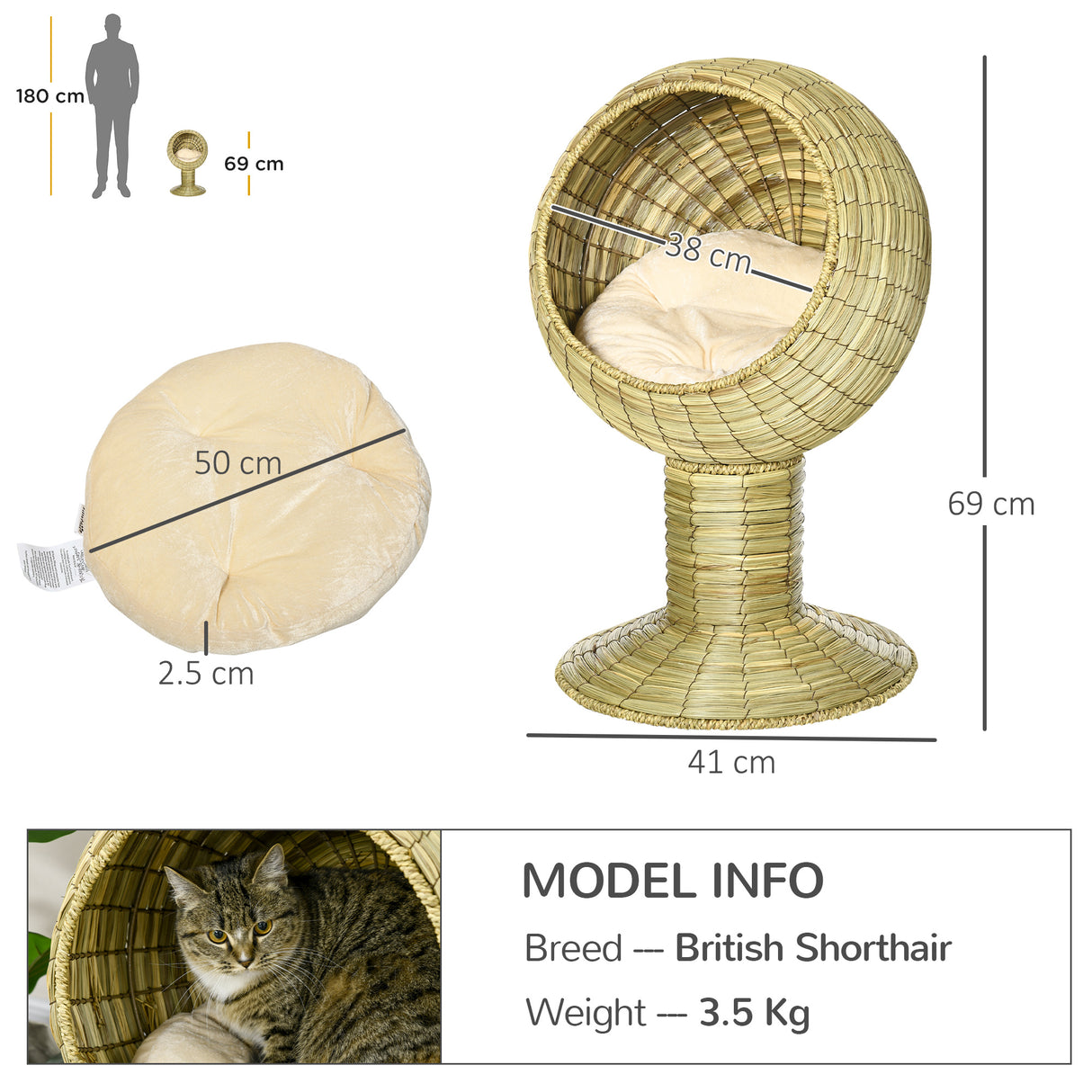 Wooden Cat Treadmill with Carpeted Runway, Natural Wood Finish