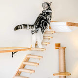 Cat Wall Perches - Wall-Mounted Furniture, Pick & Choose - Cat Walls - Purr Wish