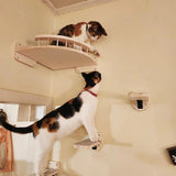 Cat Wall Perches - Wall-Mounted Furniture, Pick & Choose - Cat Walls - Purr Wish