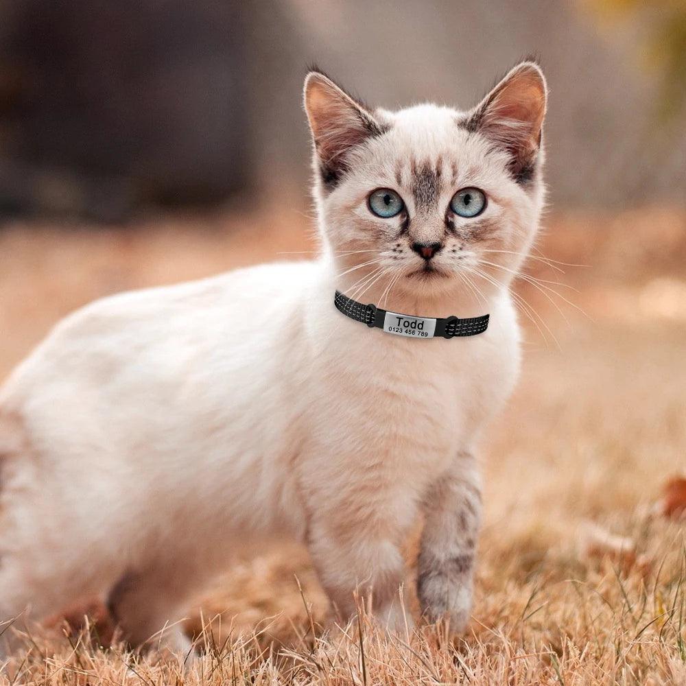 Personalised Nylon Cat Collar with Customised ID - Cat Collars - Purr Wish