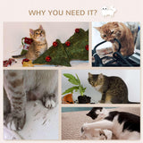 4-Piece Wall-mounted Cat Climbing Shelves Set, Beige - Cat Walls - Purr Wish