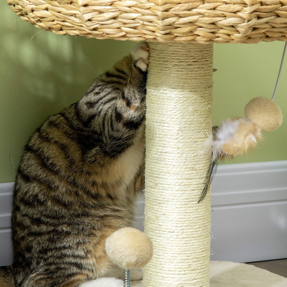 Compact Cat Climbing Tree Activity Center, 51cm - Beige - Cat Trees - Purr Wish