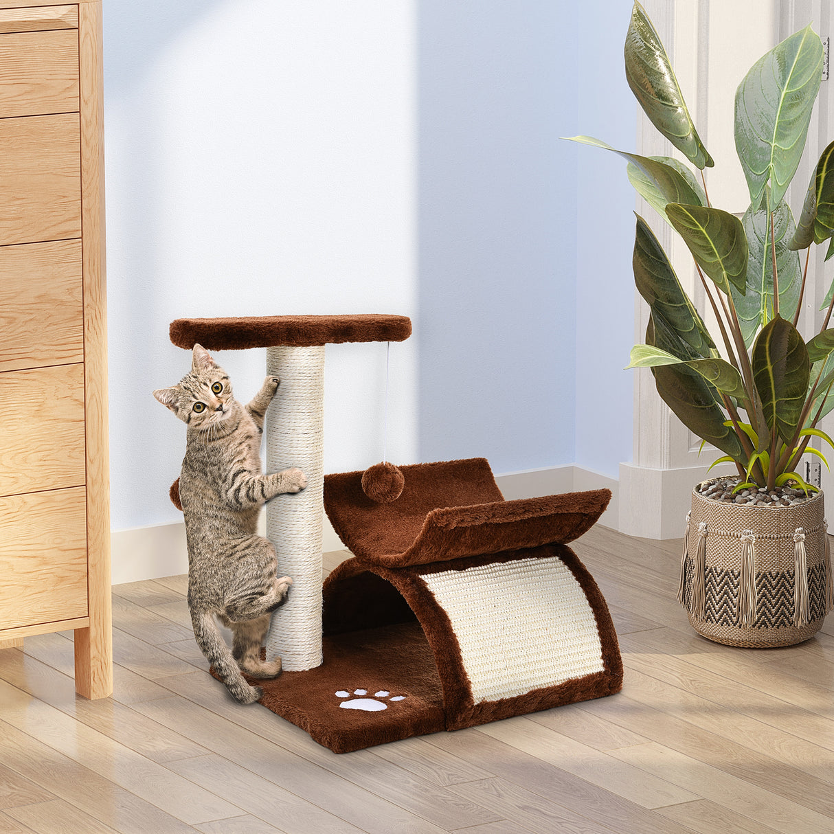 Blue Large Elevated Pet Bed for Cats, 40Lx30Wx43h-cm