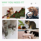 Cactus-Shaped Cat Scratching Post Tower, 60cm - Green - Cat Trees - Purr Wish