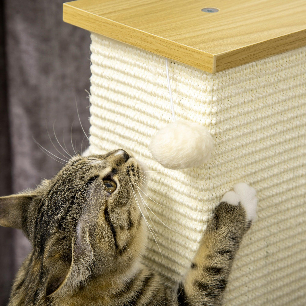 Compact Cat Scratching Post Tree, 80cm - Oak, Cream & White - Cat Trees - Purr Wish