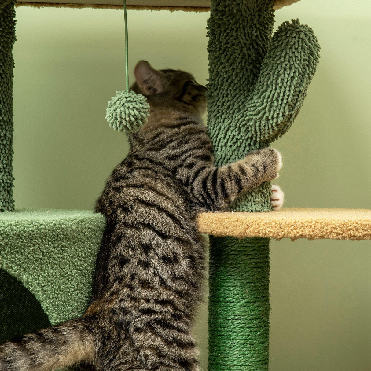 Cactus Cat Climbing Tower Activity Centre, 90cm - Green - Cat Trees - Purr Wish