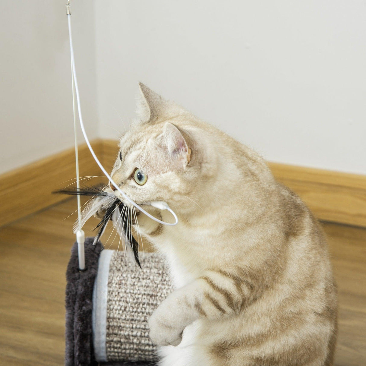 Cat Scratching Pad with Roller Toy, 16H cm - Grey - Cat Scratchers - Purr Wish