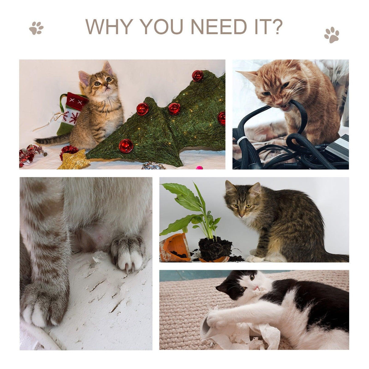 Wooden Cat Scratching Post and Activity Center - Cat Trees - Purr Wish