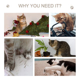 Wooden Cat Scratching Post and Activity Center - Cat Trees - Purr Wish