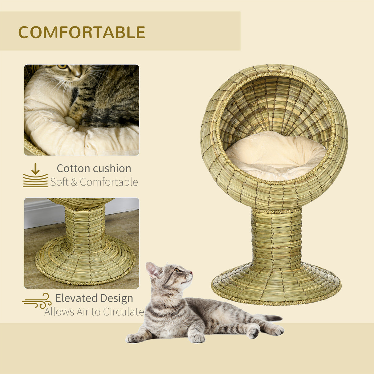 Wooden Cat Treadmill with Carpeted Runway, Natural Wood Finish