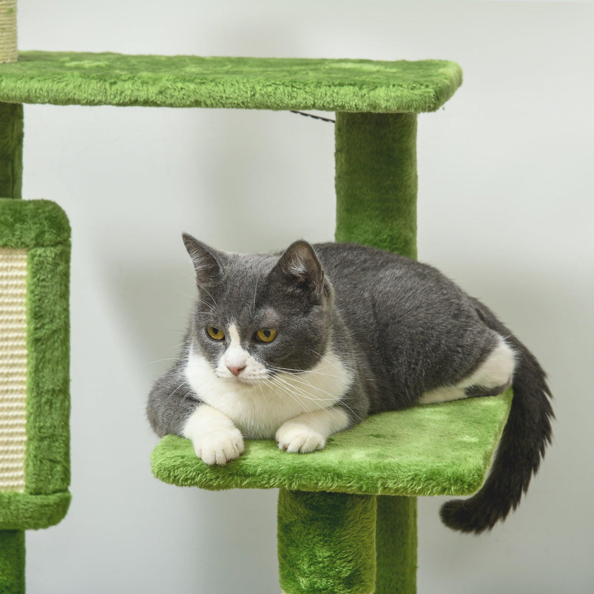 Multi-level Cat Tree Tower with Platforms, 142cm - Green - Cat Trees - Purr Wish